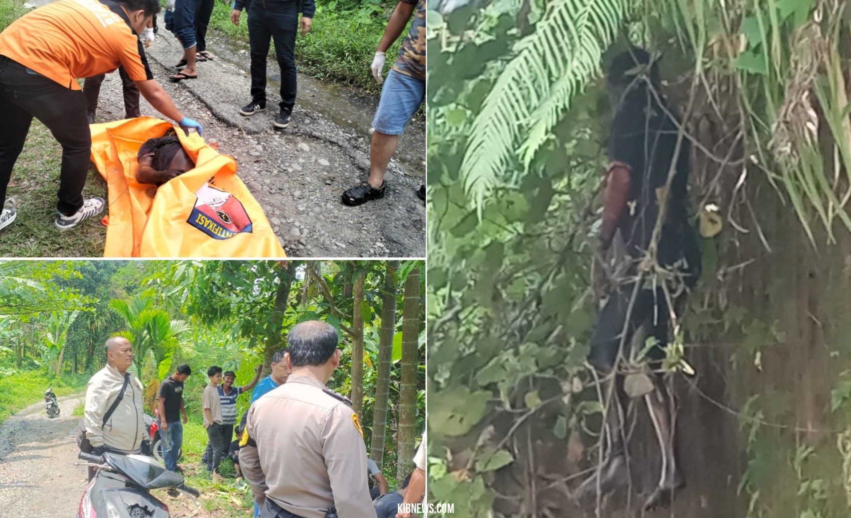 Gempar! Penemuan Mayat Pria Gantung Diri di Sungai Belawan